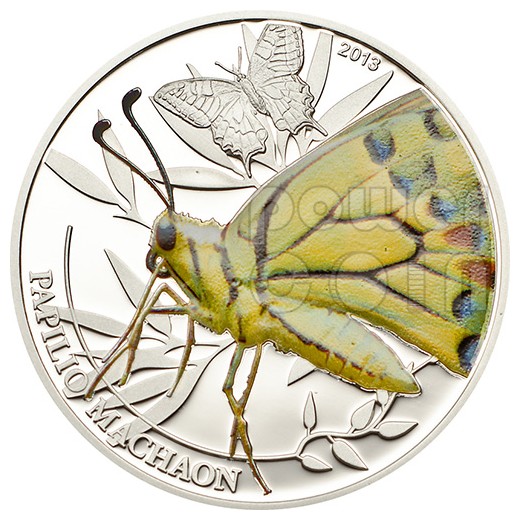 farfalla-butterfly-world-of-insects-moneta-argento-2-palau-2013