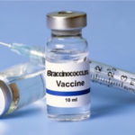 Regione Toscana: arriva il vaccino contro il braccinococco, sarà obbligatorio da giugno